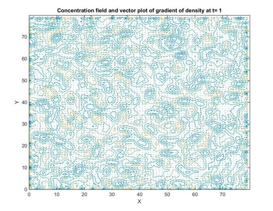 Concentration field and vector plot of gradient of density at t1